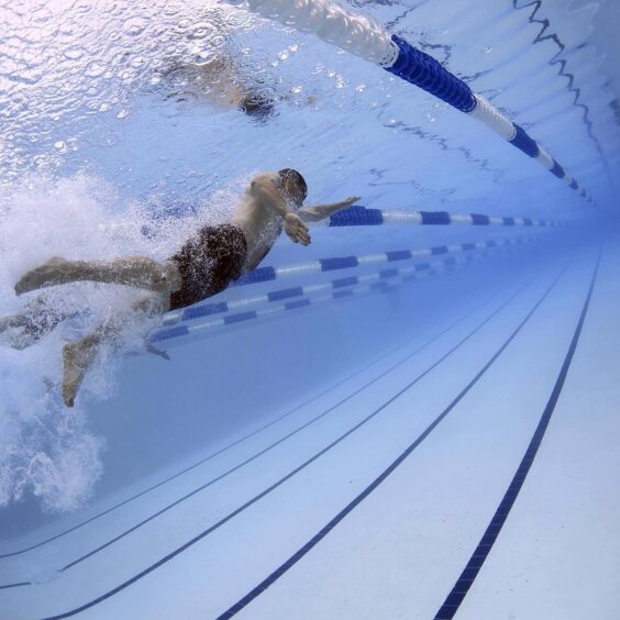 schwimmer schwimmer