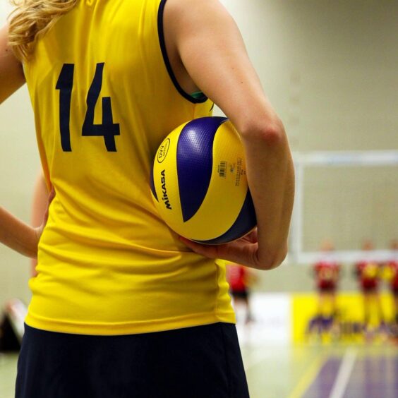volley volley